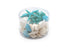 aqua and white coral and shell pack